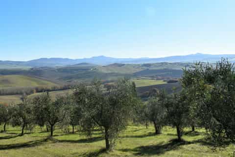 Da Siena: tour in bici elettrica per piccoli gruppi con pranzo in cantina