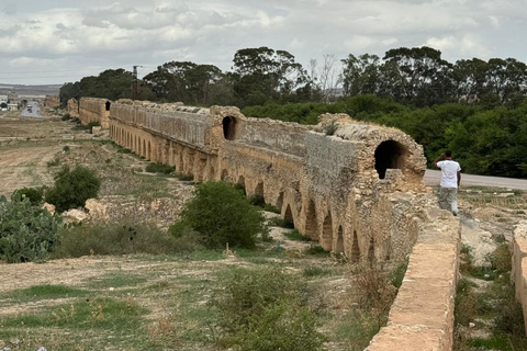 From Tunis: Bardo Museum, Oudhna & Aqueduct Private Tour