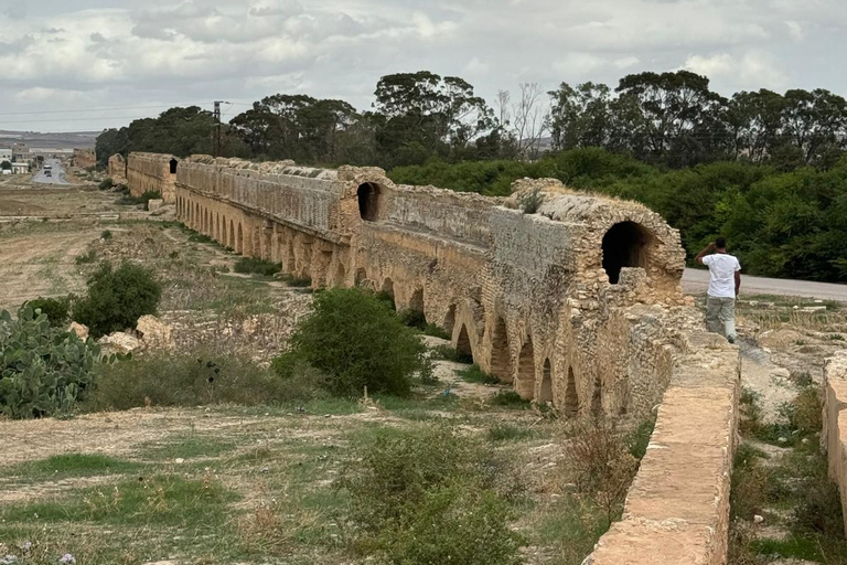 From Tunis: Bardo Museum, Oudhna & Aqueduct Private Tour