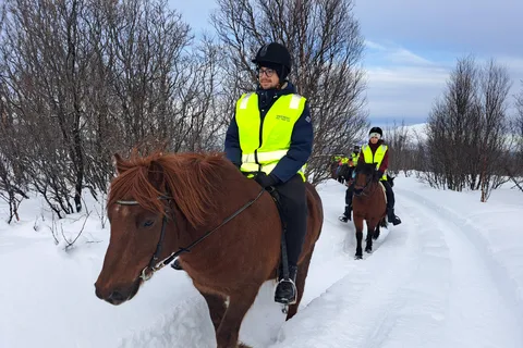 Tromsø: Experiencia invernal a caballo en Lyngen