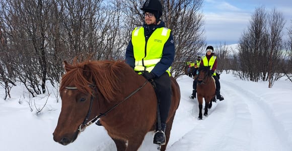 Tromsø: Winter Lyngen Horse Ride with Lyngen Alps Views