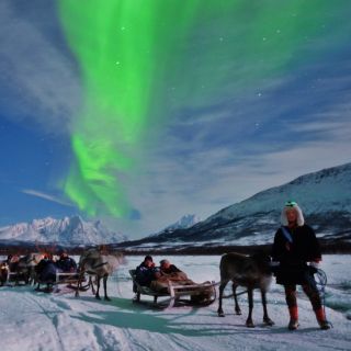 Tromsø: Traditional Sámi Reindeer Sledding & Northern Lights
