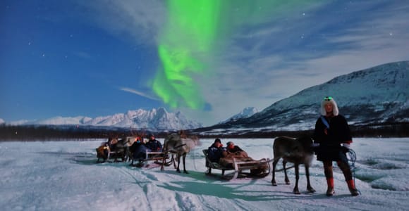 Reindeer Sledding with Chance of Northern Lights with Dinner