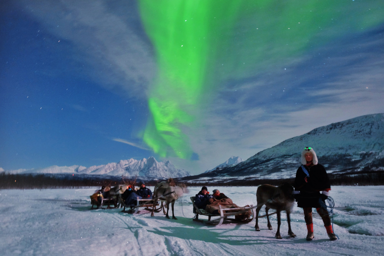 Tromso: Passeio de trenó de rena com chance de ver a aurora borealTromso: trenó de renas com chance de ver a aurora boreal