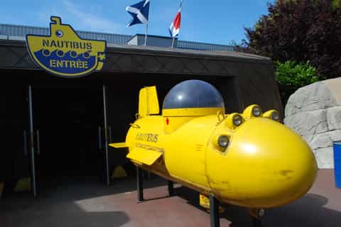 Saint Malo: Entry Ticket to the Grand Aquarium