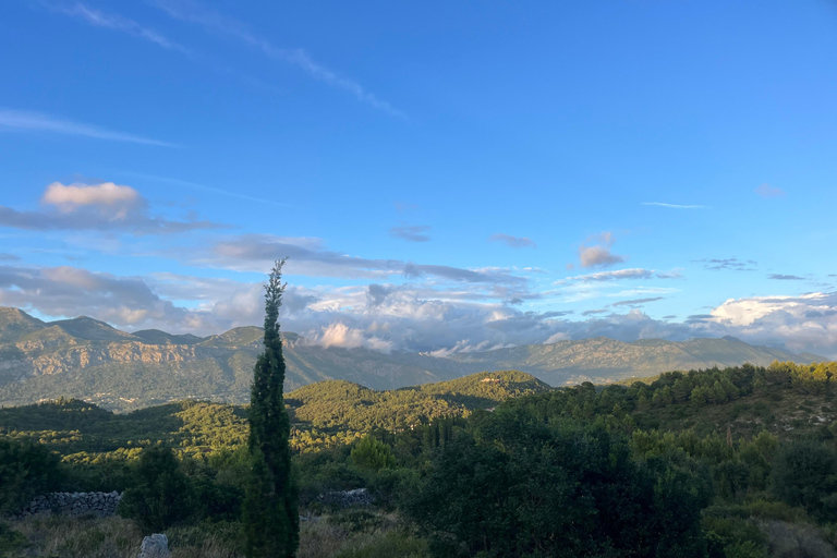 Dubrovnik: Konavle ATV Quad Safari Tour Without Transfer 1-Person Quad Without Transfer