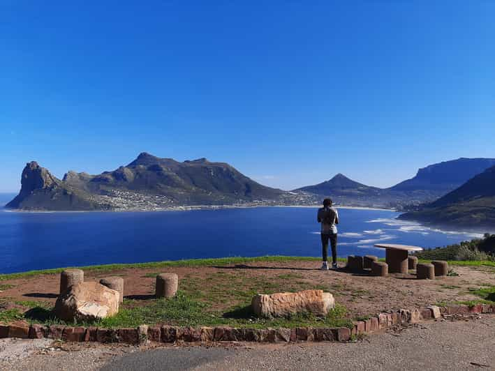 cape peninsula & boulders beach private day tour