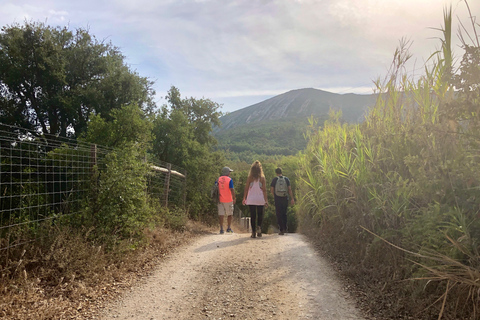 Desde Sesimbra: tour de senderismo por la montaña de Arrábida