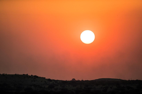 Pilanesberg: Morning-to-Sunrise Safari in an Open Vehicle Small Group Sharing Rate