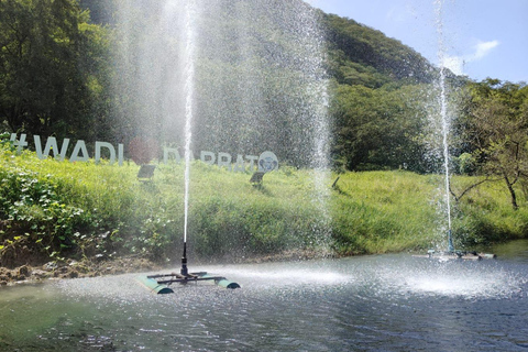 From Salalah: East Salalah Full-Day Guided Tour with Pickup