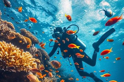 Da Nang/Hoi An: Cham Island Snorkeling or Diving Tour Private Tour & Private Car Transfer & Shared Boat