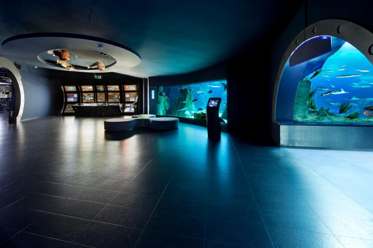 Tour door Istanboel Aquarium en winkelcentrum Aqua FloryaTour naar Istanboel Aquarium en winkelcentrum Aqua Florya