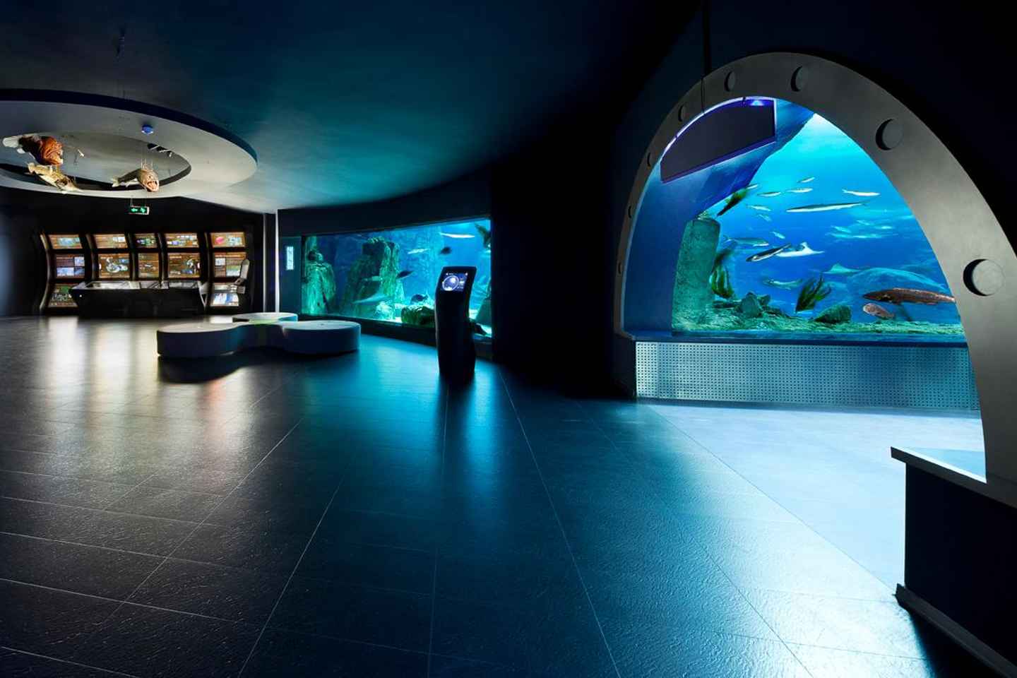 Istanbul Aquarium und Aqua Florya Mall: Tour mit Transfer, Eintritt und 5D-Kino