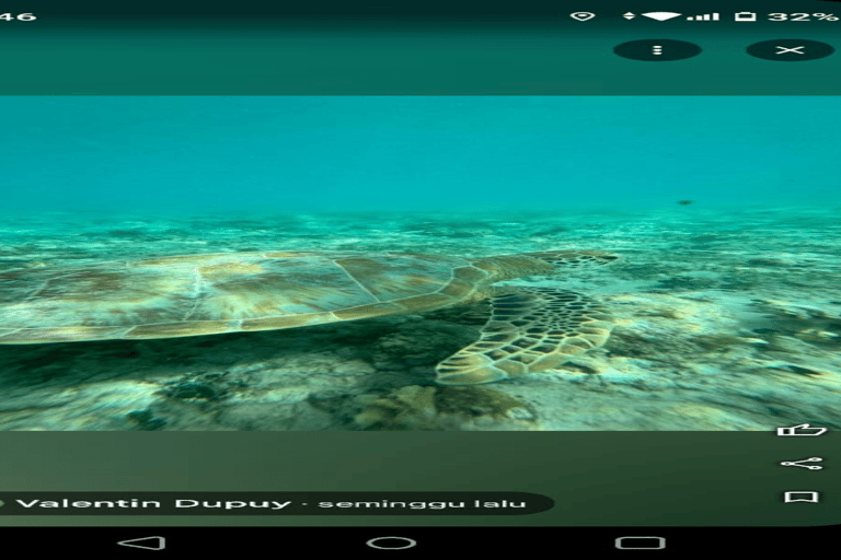 Go Pro Snorkling Trip 3 Islands. Snorkling Trip 3 Islands. Statue Under Water, Fish Garden,