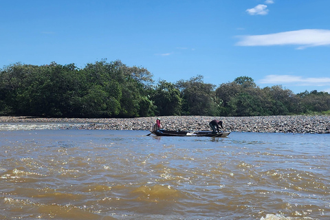 NEIVA: Achira Route: walk along the Magdalena River and achira workshop