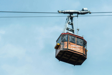 Jungfraujoch & Interlaken | VIP Sprinter Small Group
