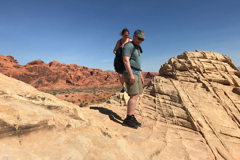 Las Vegas: Valle del Fuego Excursión guiada de medio día con recogida