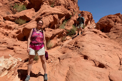 Las Vegas: Valle del Fuego Excursión guiada de medio día con recogida