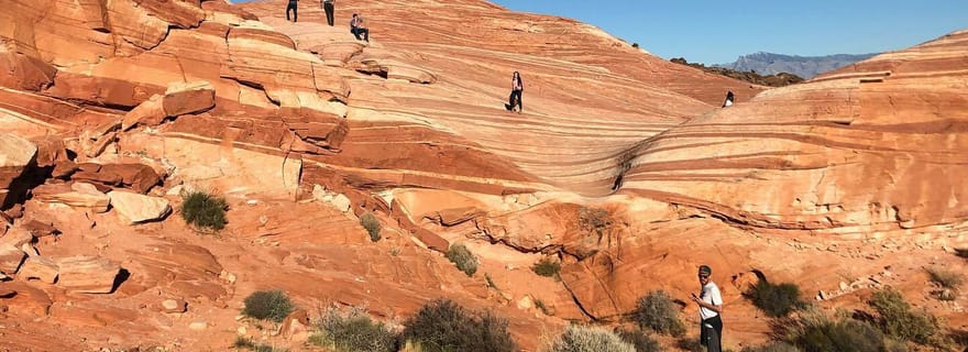 Las Vegas : Randonnée guidée d'une demi-journée dans la vallée de feu avec ramassage