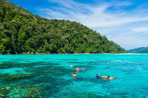 Phuket o Khao Lak: Excursión de un día a las Islas Surin y el Pueblo Moken