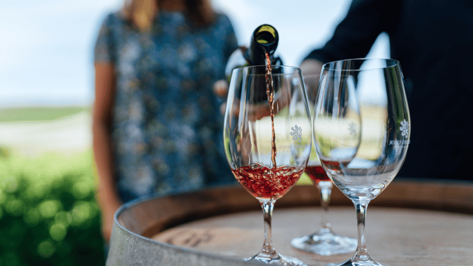 relbia vineyard cycling tour with wine tasting