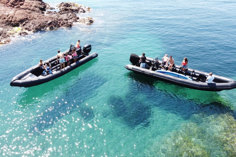 Z Cannes: Odkryj Saint Tropez łodzią