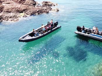 Cannes: 2.5-Hour Esterel Calanques Boat Excursion