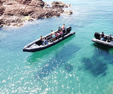 Cannes: 2,5 uur durende excursie per boot naar de Esterel Calanques