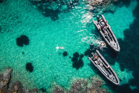 From Cannes: Discover the Calanques of the Esterel