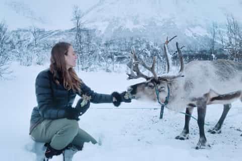 Tromsø: Reindeer Feeding and Sami Cultural Experience