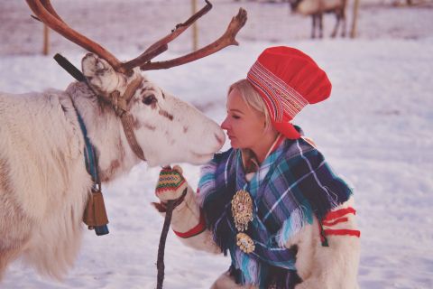 Tromsø: Reindeer Feeding and Sami Cultural Experience