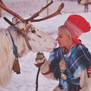 Tromsø: Reindeer Feeding and Sami Cultural Experience