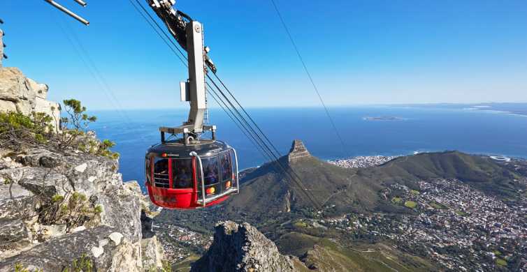 Fores Cape Town Summer Activities