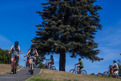 Launceston: Food and Beer Scenic Cycling Tour