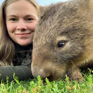 Sydney: Wild Wombats and Kangaroo Experience
