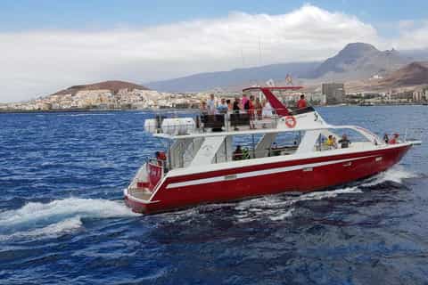 Tenerife: Whale Watching and Swimming from Los Cristianos