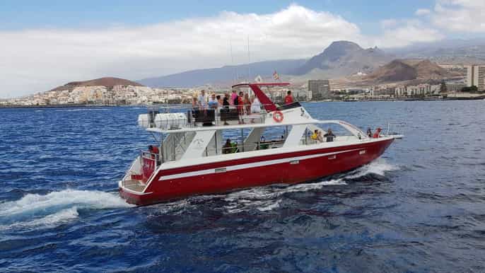 Tenerife: Whale Watching and Swimming from Los Cristianos