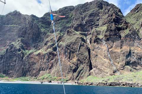 Funchal: jachttocht met dolfijnen en walvissen spotten