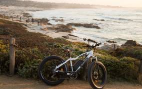 Monterey: Half-Day Electric Bike Rental