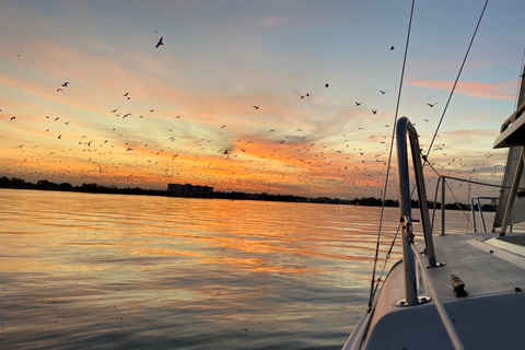 Orlando: viagem privada de barco ao pôr do sol no lago Fairview