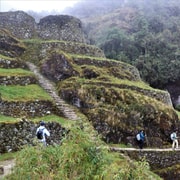 Cusco: Inca Trail To Machu Picchu 4-Day Trek | GetYourGuide