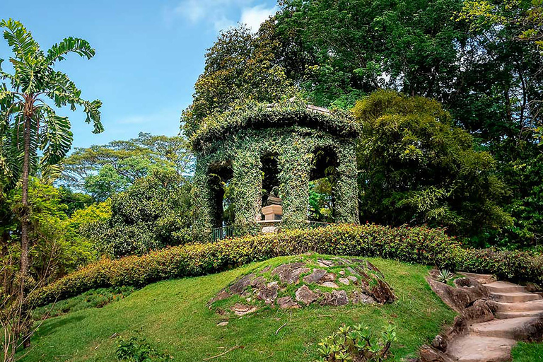 Visite guidée du jardin botanique et du parc Lage au cœur de Rio