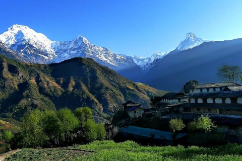 Von Pokhara: 3-tägiger Dhampus-Sarangkot-Trek