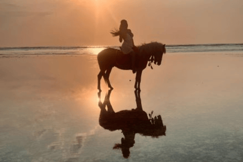 Gili Air: 1 Hour Horseback Riding With hotel Transfer