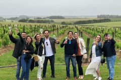Sacromonte Food & Wine Experience