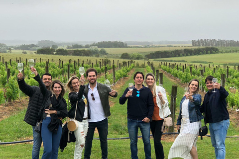 Punta del Este: Das Gourmet-Weingut-Erlebnis