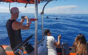 - Canarie.it