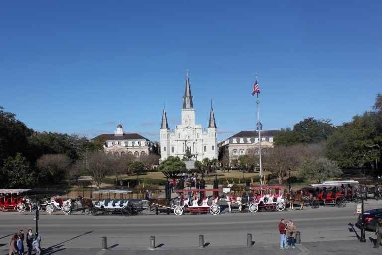 New Orleans: Traditional City and Estate Tour with Entry
