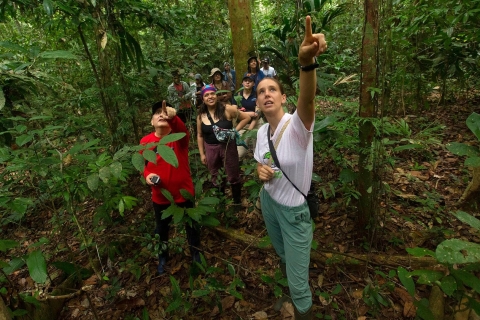 From Madre de Dios: Night trekking in the Amazon jungle