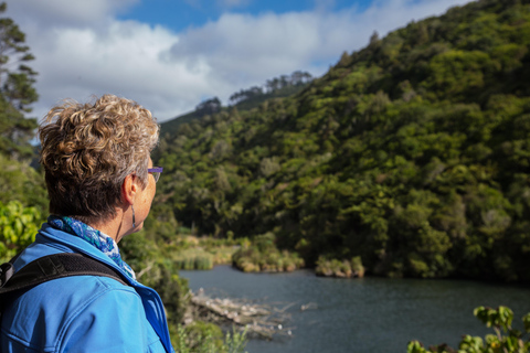Zealandia: Forest Secrets, Plant Stories Walking Tour